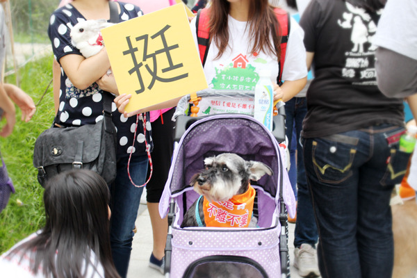 立委挺動保,選民就挺你! 台灣動物新聞網資料照(何宜/攝)