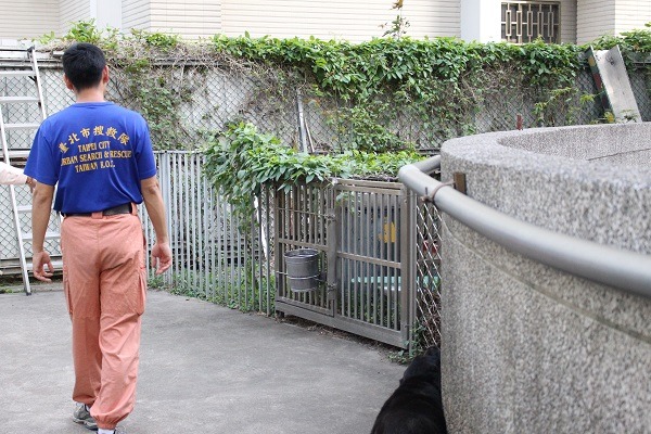 目前台北市搜救犬隊上共有5位控犬員、8隻搜救犬，是人力足以應付的狀況。　台灣動物新聞網資料照，何宜/攝