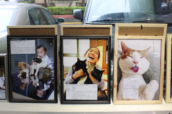 由台北市動保處指導的幸福轉運站,在全國動物醫院舉辦影像特展。 何宜/攝