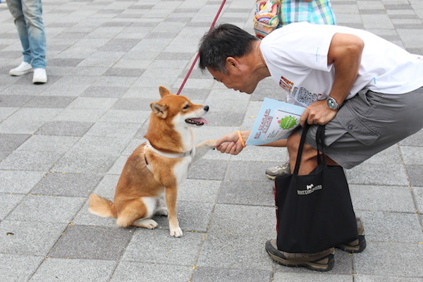 拿到傳單的蹓狗民眾，也開心的握著自家柴犬的手，像是在告訴他：「別擔心，我會愛你一輩子的！」   何宜/攝