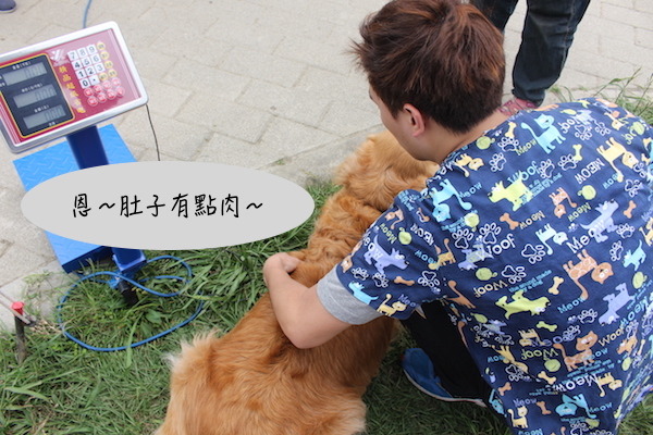 由專業獸醫測量狗狗體態,再依據不同級距在狗狗專屬護照上標註。 何宜/攝