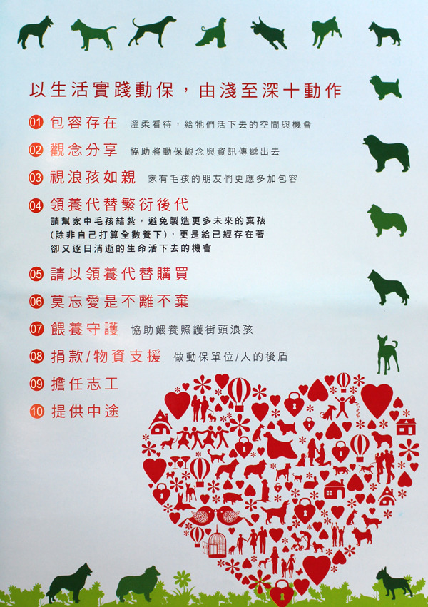 由淺而深，每個人量力而為，動保就成了生活的一部分。　何宜/翻攝