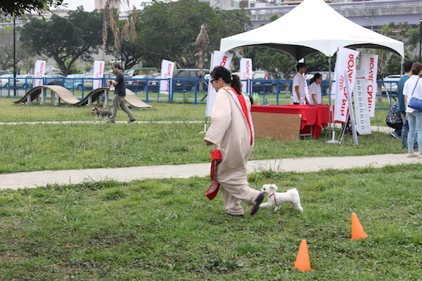 飼主身穿特殊服裝,實際體驗狗狗若過胖,會對自身增加多少負重量。 何宜/攝