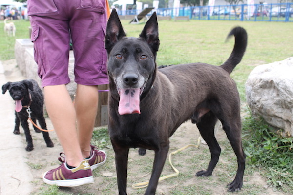 「大家要跟我一樣保持良好的體態喔~>.^」 何宜/攝