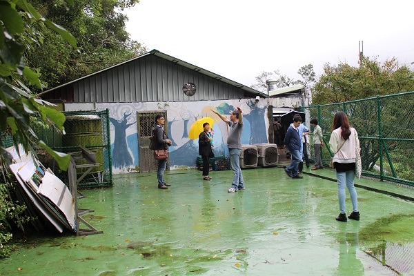 運動場沒有遮蔽物，只要下雨室外就會濕答答、狗狗就無法散步。 何宜/攝