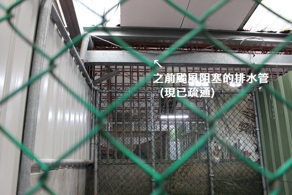 新北市動物保護處於上週六舉辦參與式預算現場會勘，有數個動保團體、志工等參與提案。　何宜/攝