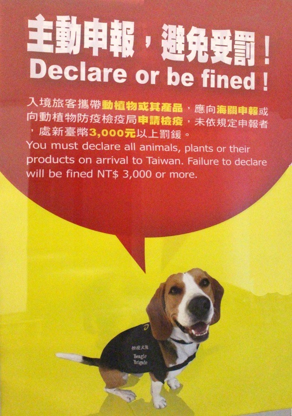 台灣最前線的防疫小尖兵，每天都在替我們把守環境、農業的安全，也讓我們遠離疫病危險呢！　何宜/攝