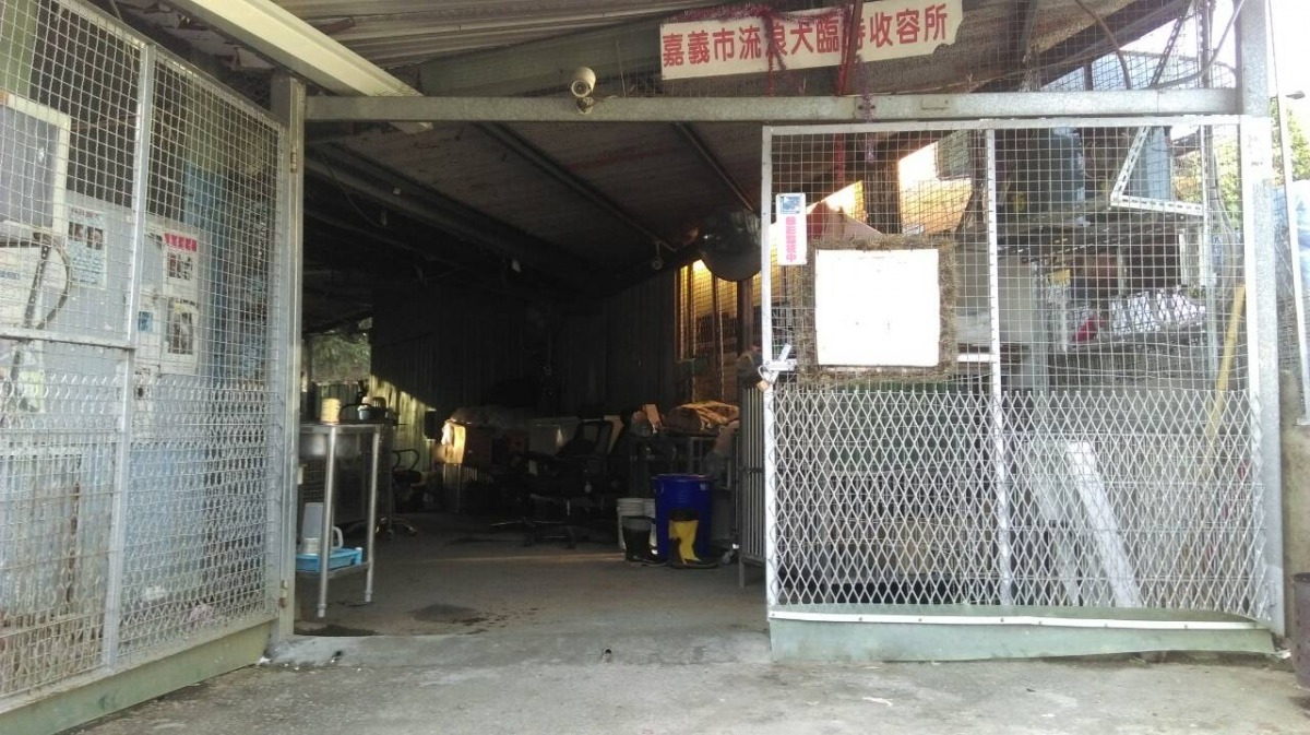嘉義市動物收容所因為6月份完工的排水工程,讓這次颱風的傷害降到最低。 嘉義市建設處/提供