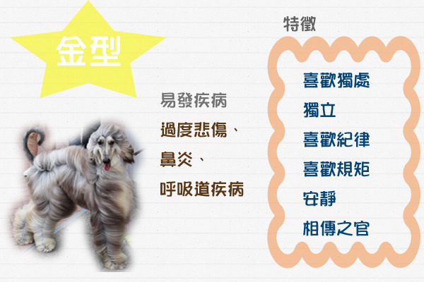 資料/謝旻莉、製圖/何宜、圖片/何宜攝
