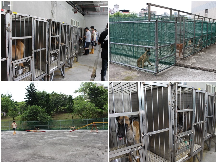 (左上、右下圖)狗狗室內籠舍;(右上、左下)室外籠舍及活動、訓練空間。 李娉婷/攝