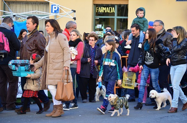 西班牙為了迎接聖安東尼節，會有許多飼主帶著動物逛大街。　宋良音(Kate)/提供