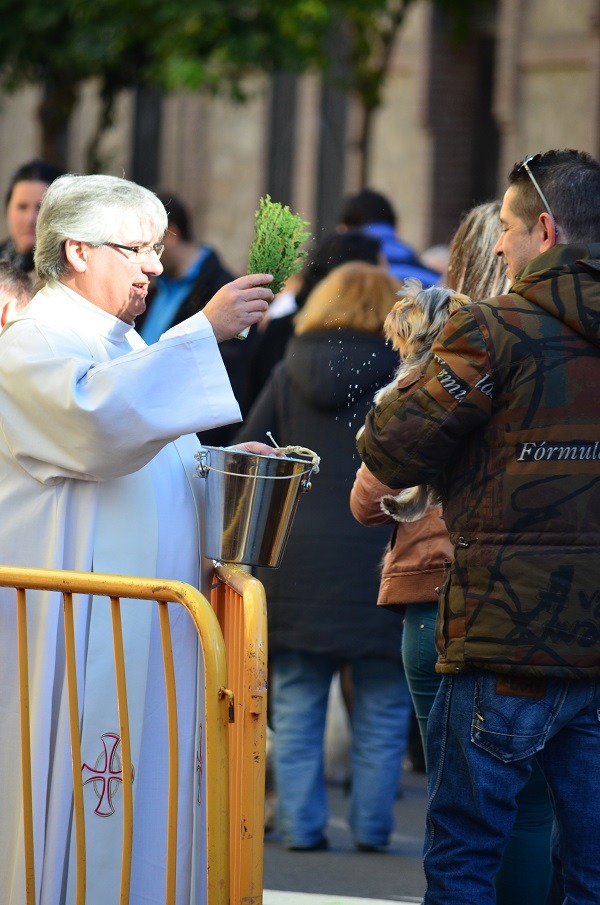 聖安東尼節時飼主帶著寵物接受祈福。　宋良音(Kate)/提供