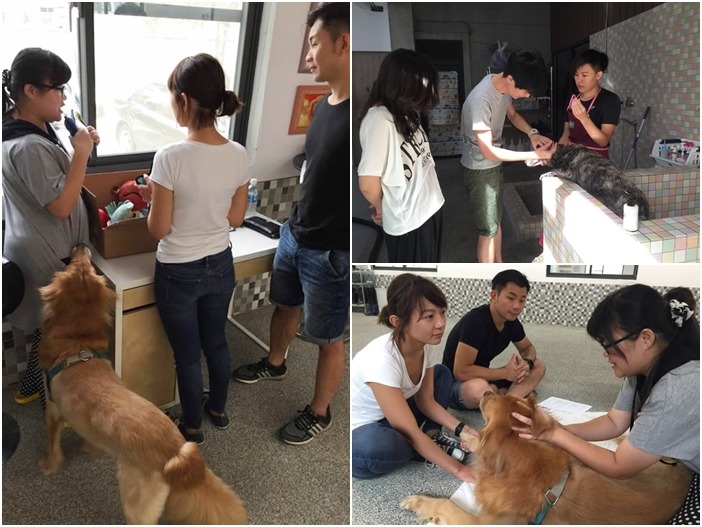 寶貝狗協會安排2-4堂與照護、訓練相關的課程給認養人參與。圖左為訓練師在講解Sony的玩具與使用方法、右上為朵朵的認養人實際操作。　取自寶貝狗協會