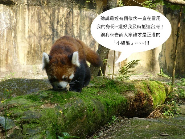 文/設計對白                    圖/台北市立動物園