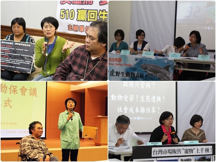 在推行動保法修法、動保法大遊行的立法委員林岱樺；相當關心海洋展演動物的立法委員林淑芬。　何宜、李娉婷/攝