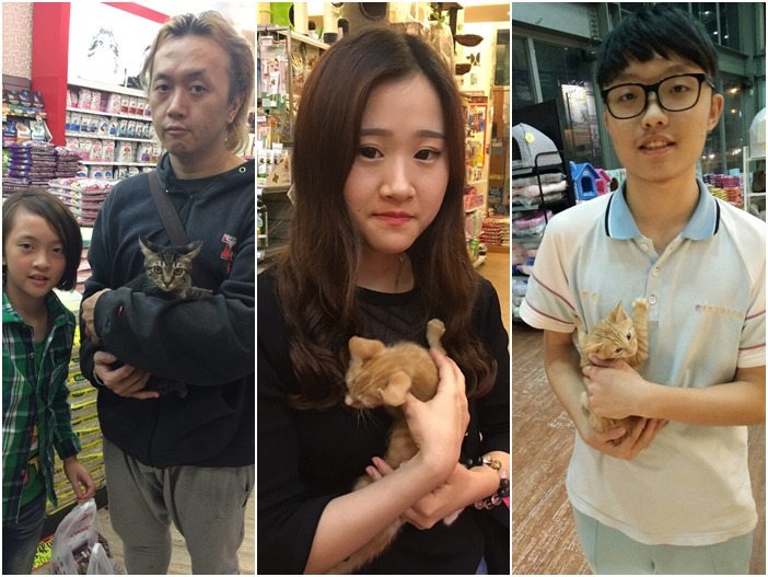 動物王國門市會與當地愛心媽媽合作,幫他們送養貓狗,圖為成功找到新家的貓咪們。 動物王國/提供