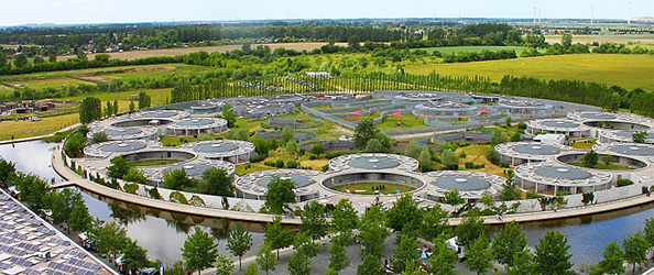 德國由柏林動物保護協會設立的收容所,是歐洲最大、同時也是德國第一座收容所。 取自Tierheim Berlin官網