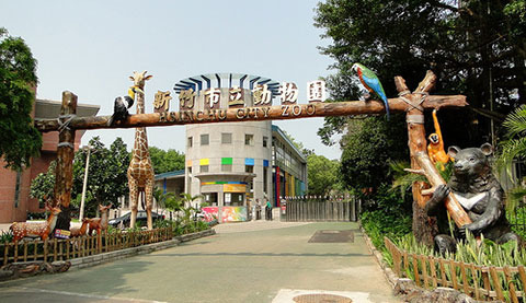 新北市動保處正在跟新竹動物園接洽，近期將把浣熊移到園內安置。　Google創用CC