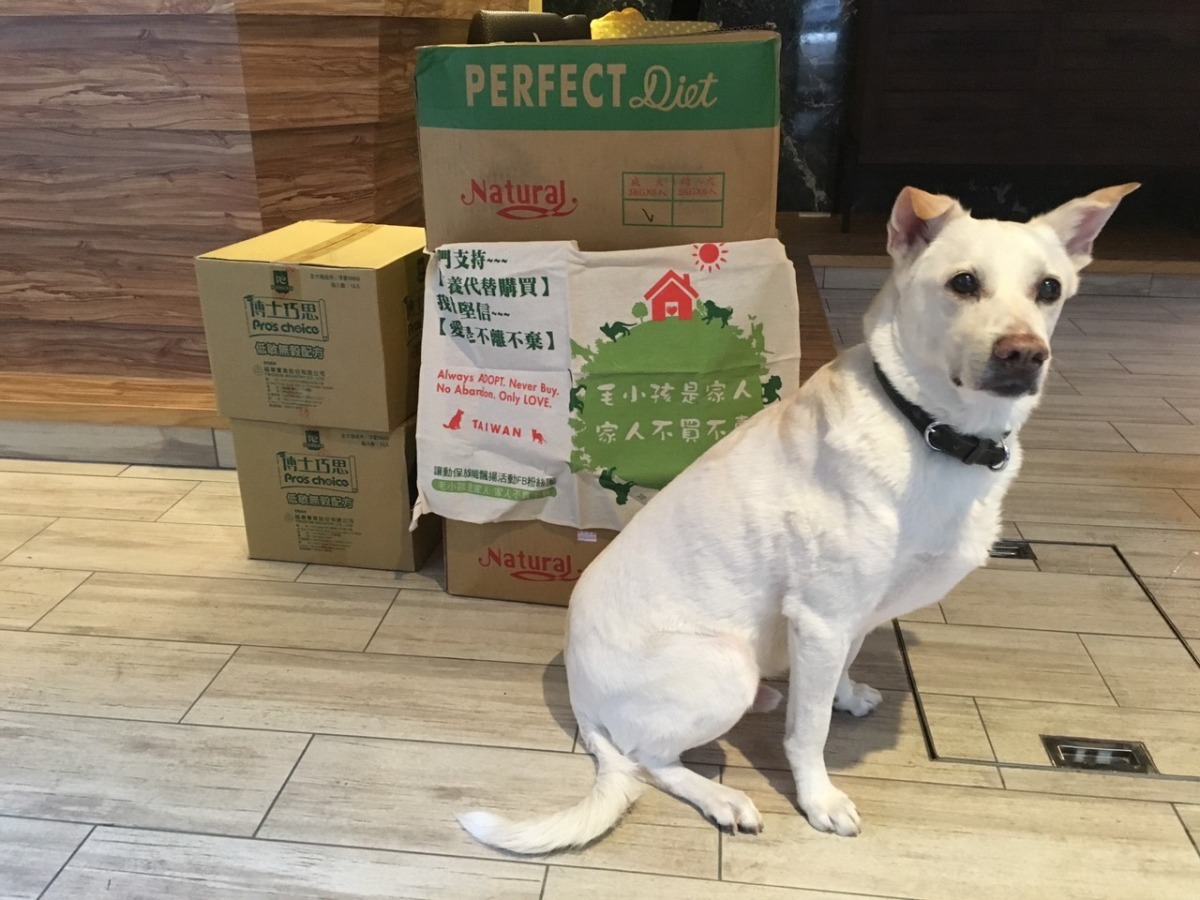 「這些是我的飼料，大家都不可以跟我搶！」　福壽實業/提供