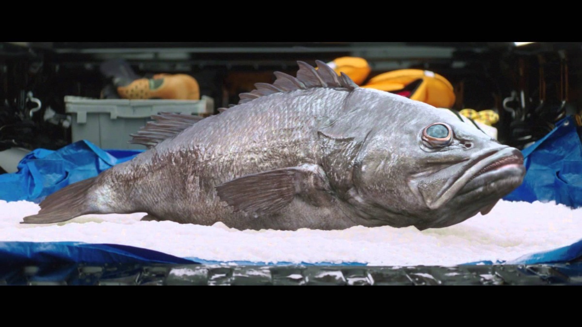 動保人士不滿廣告居然將野生動物描繪成享受被殺害的形象！　翻攝自影片