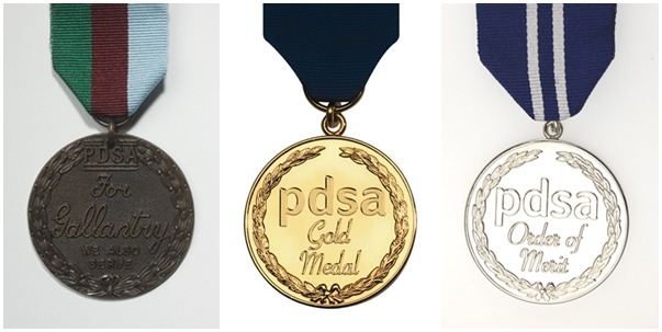 PDSA協會一共設立3種不同類別的動物獎項，法國反恐警犬狄賽爾獲得的是左一的迪金勳章，殺手獲得的是中間的金牌勳章。　取自PDSA