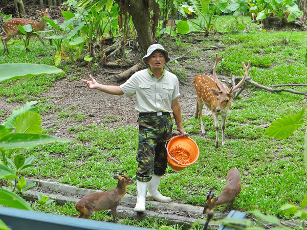 一起來聽聽保育員說說動物的「家務事」喔! 台北動物園/提供