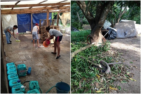 墨西哥當地動保團體的狗場也被颶風侵襲，造成多處受損，所幸有許多志工幫忙清掃打理。　取自Mexpup