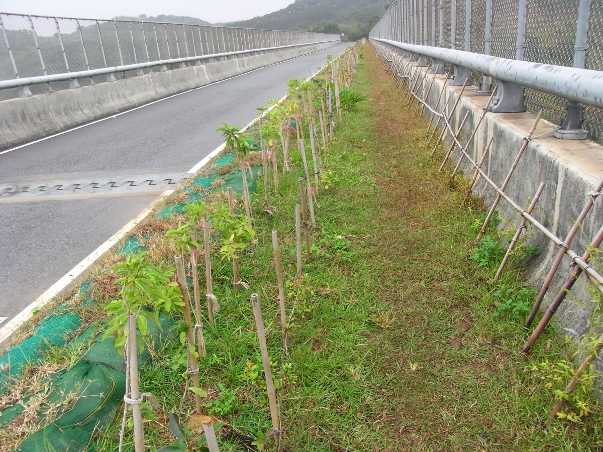 苗栗通霄路段的改善措施，包含防護網及多功能動物通道。　取自高公局