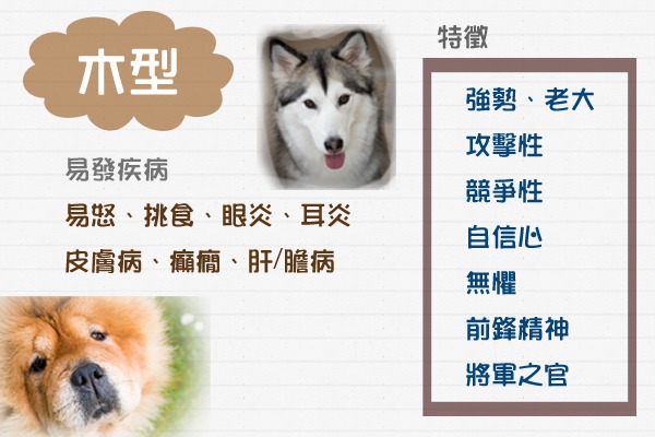 資料/謝旻莉、製圖/何宜、圖片/取自網路