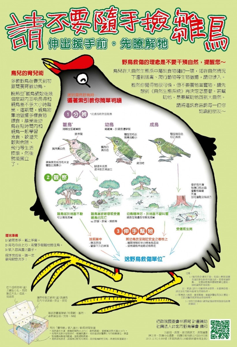 鳥會摺頁野鳥救傷知識。