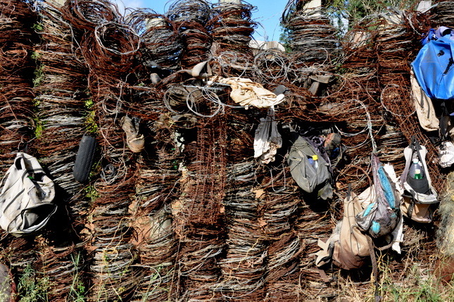 套索陷阱相當殘忍，而許多野生動物保育團體也會呼籲禁止這樣的陷阱。　取自nikela組織