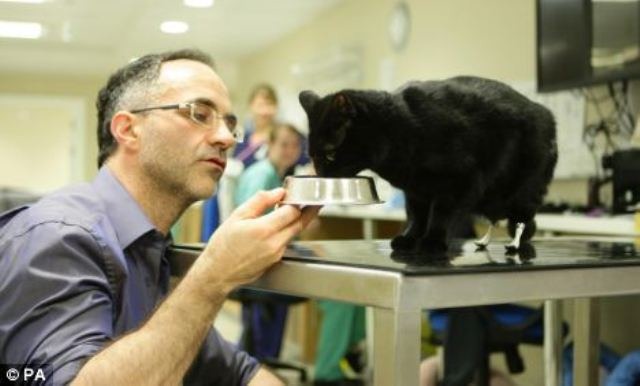 菲茨帕特里克2009年替一隻後腳遭割草機輾斷的Oscar黑貓製作仿生義肢，也讓他成為全球第一位成功的獸醫因此聲名大噪。　取自網路