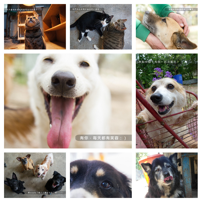 活動有相當多精美好禮,邀請大家一起共襄盛舉! APA/提供