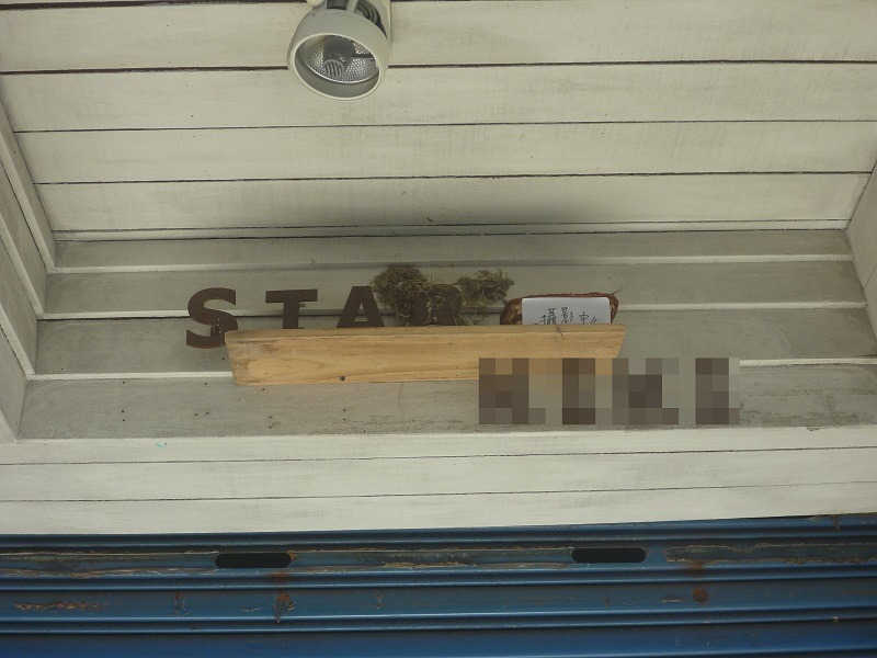 事發地點遭擊落之鳥巢。　台北市動物保護處/提供