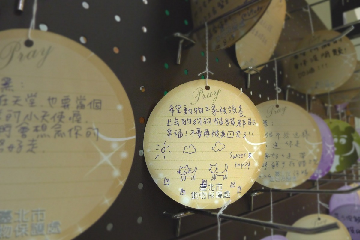 希望所有收容所的狗狗都能找到一個永遠的家。　何宜/攝