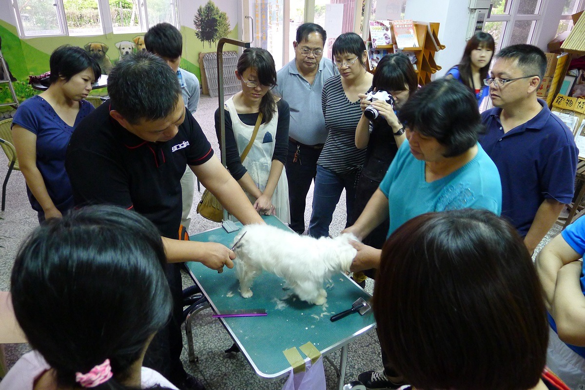 在零安樂講座之後，也規劃為期2個月的志工實習課程，安排許多實作方面的內容，不容錯過！　中華民國保護動物協會/提供