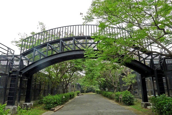 台灣建造的空中步道看起來也不輸國外呢！　何宜/攝