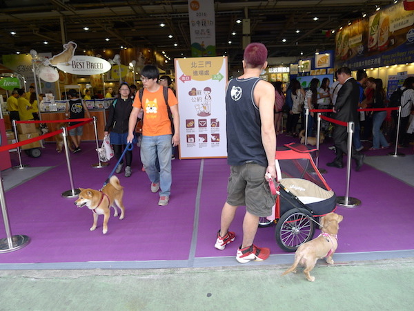 台中寵物展從今日起至5月2日在大台中國際會展中心登場，第一天就有許多民眾帶著愛寵參加。   何宜/攝