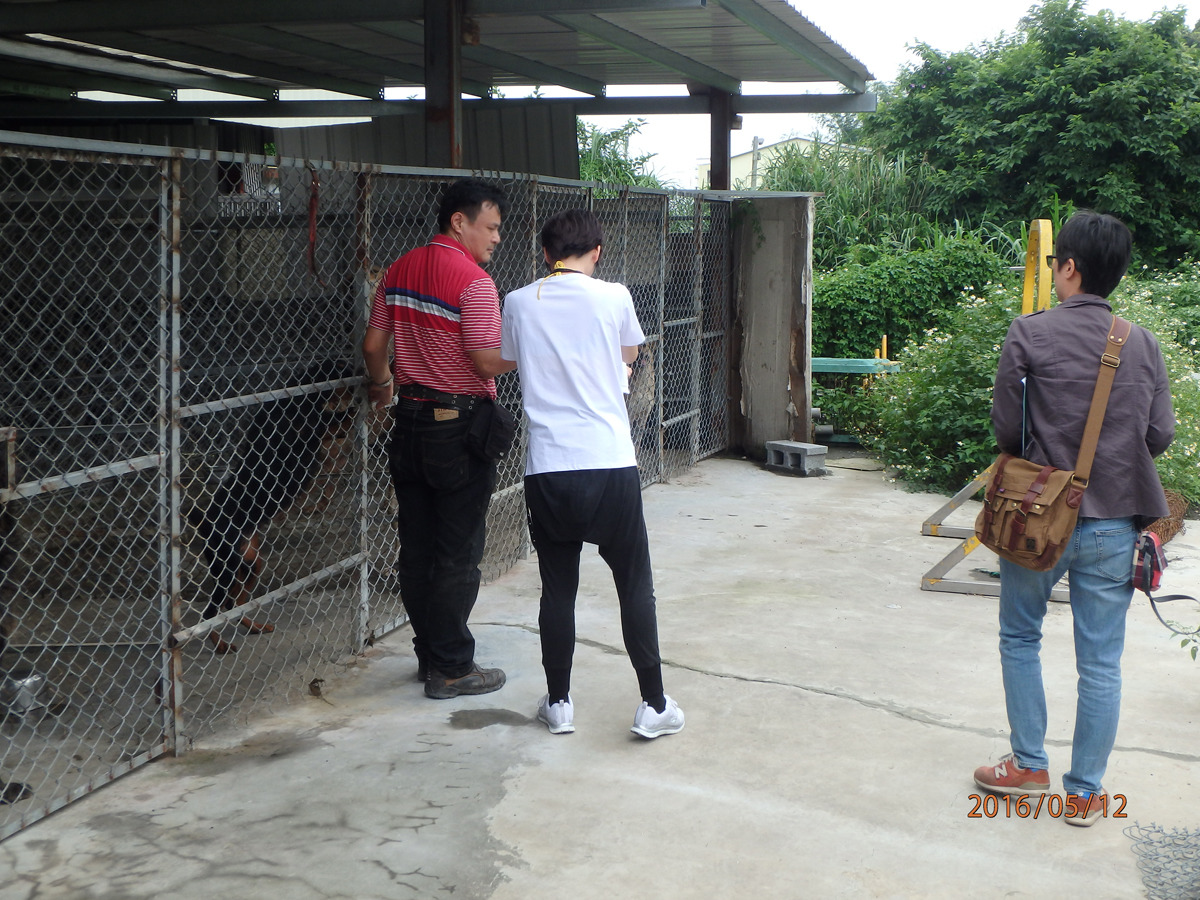 桃園市近年嚴格執行查核與評鑑，有些業者也乾脆轉型、或是收掉不做。圖為進行寵物繁殖業評鑑。　示意圖（桃園市動物保護防疫處/提供）