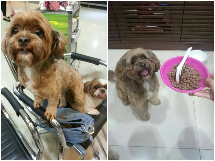 林沅君選擇將化小愛為大愛，希望龍龍可以過得更好。　林宣怜/提供