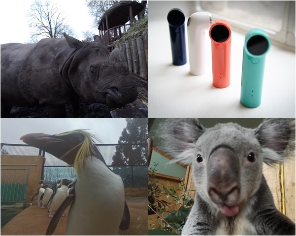 HTC的Re Camera迷你相機，操作簡單到連動物都輕鬆上手！　取自愛丁堡動物園/ (右上)Digital Spy