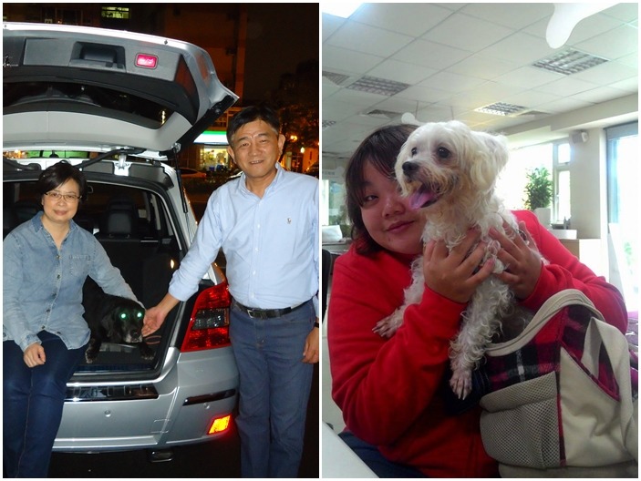 搜救犬Bailey跟寵物展走失的馬爾濟斯，雙雙在昨日找到幸福新家庭！　(左)台北市消防局、(右)志工小敏/提供