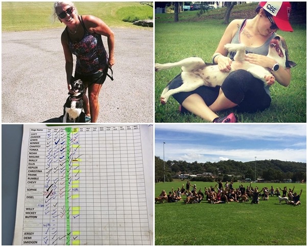 來參加活動的不一定是真的缺乏運動的人,反而許多是身材健美、膚色黝黑的民眾,原來許多人是因為住在不能養寵物的公寓,所以藉著活動擁有與狗相處的機會! 取自Rescue Your Fitness