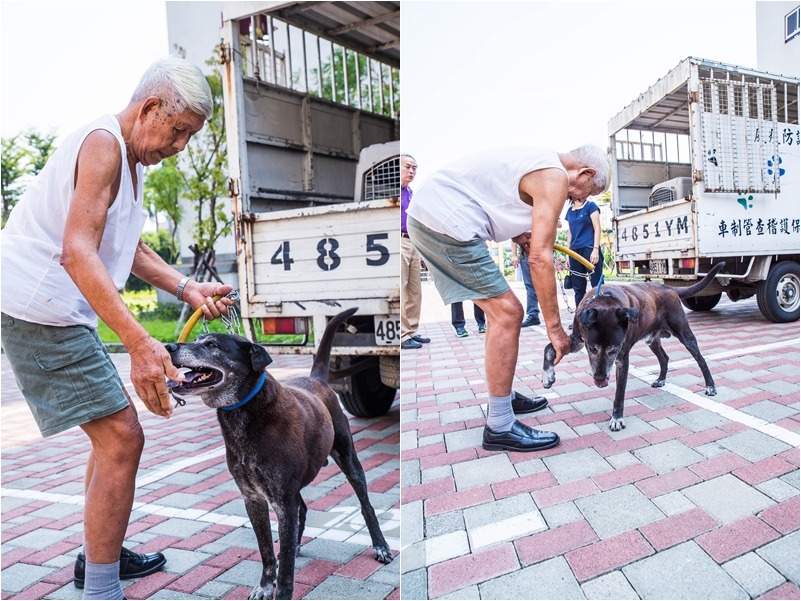 象徵團圓的中秋節前夕，老榮民與相伴7年，因無法再飼養而分隔兩地的愛犬，短暫團圓相聚。　新北市動保處/提供
