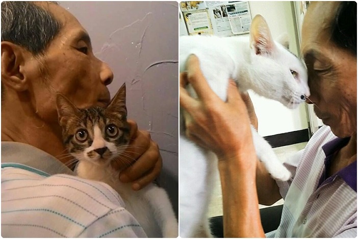 敏大哥與貓咪們親暱合照，是不是也散發濃濃父愛呢！　敏大哥/提供