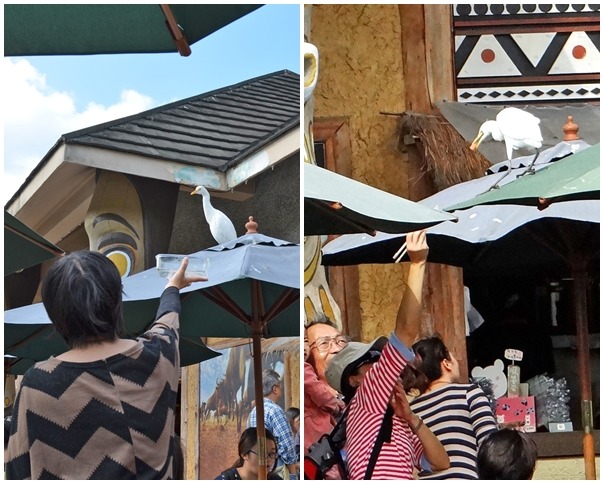 千萬別給孩子錯誤的示範，野生動物可以自行覓食，不需要人類餵養！　台北動物園/提供