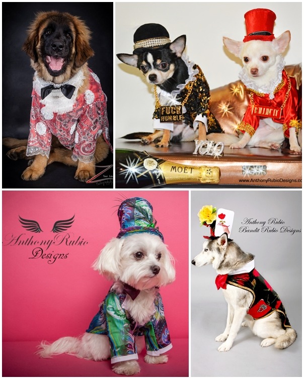 「所有犬種都可以量身訂製喔~~我爸爸厲害吧！」　取自Anthony Rubio官網