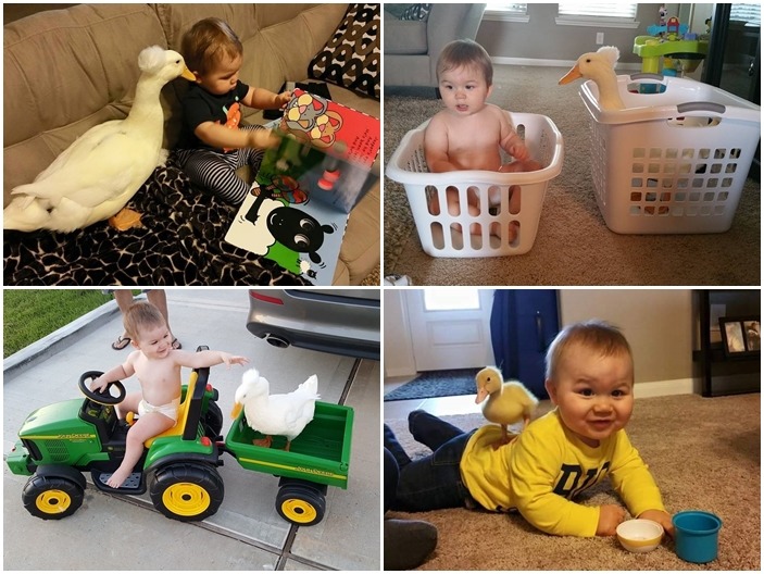 無時無刻都膩在一起的最高境界！　取自Mr. T and Bee