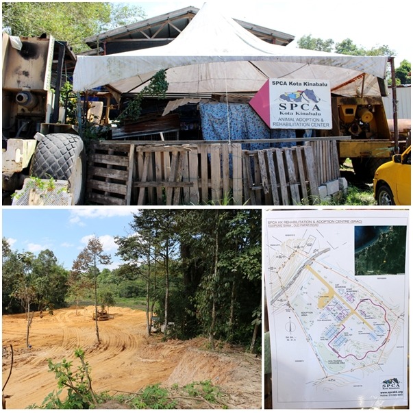 spca kota kinabalu