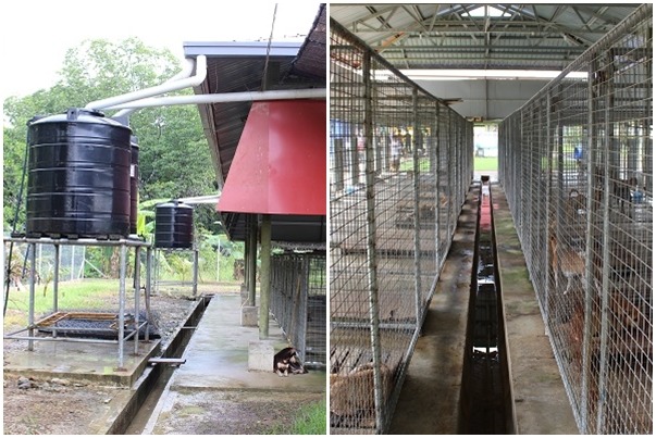 收容所硬體設施完善,有儲水設備、排水系統,不過軟體方面仍需要加強。 何宜/攝